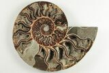 Cut & Polished Ammonite Fossil - Deep Crystal Pockets #200149-2
